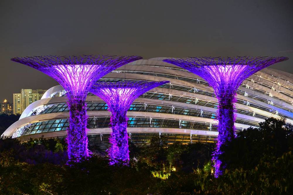 singapore-garden-at-night.jpg