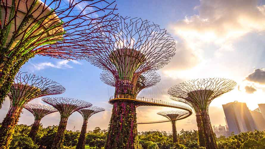 Gardens-by-the-Bay.jpg