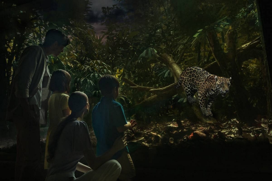 batch_Night-Safari-at-Singapore-Zoo.jpg