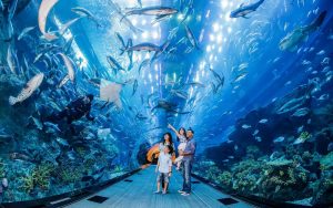 Burj-khalifa-124th-floor-aquarium-300x188.jpeg